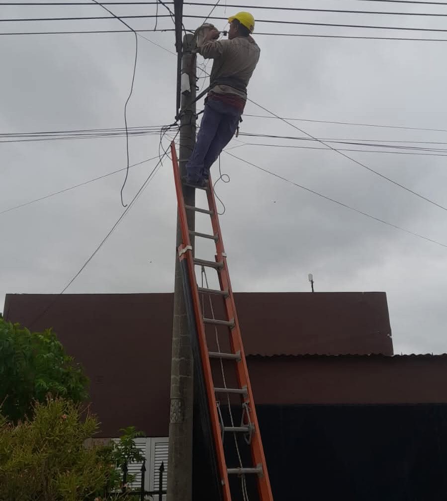 Imagen adicional
