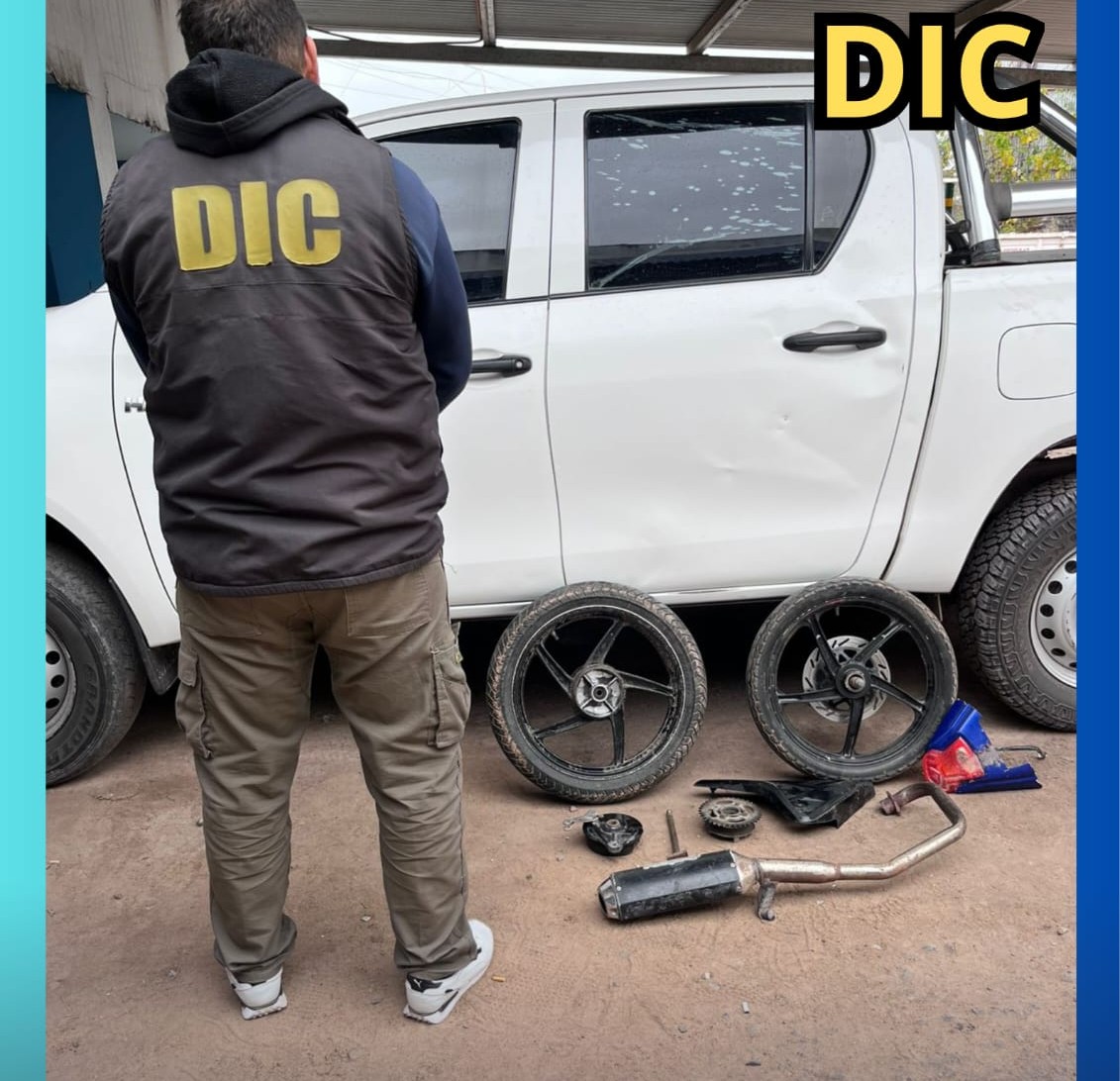 Imagen adicional